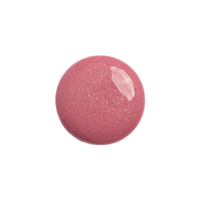 Aussie Rose
